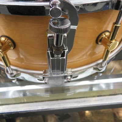 Canopus MO-1455 Maple Snare image 4