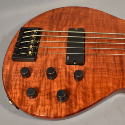 Bolin 5-String Bass Guitar Model NS-5 with Case, Beautiful! image 5