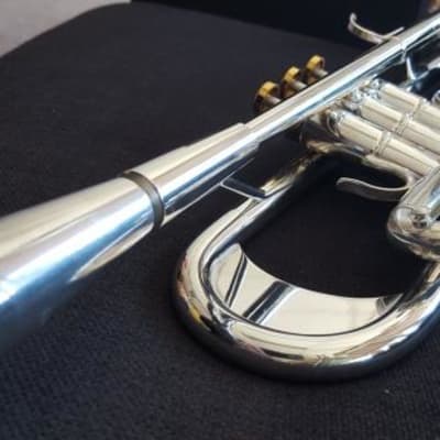Berkeleywind Bb C Trumpet (Silver) w/D2H Heavy Cap