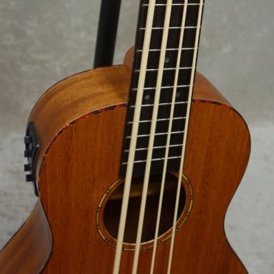 ベース Donner DUB-1 Ukulele Bass Donner Ubass DUB 1 Electric Bass Ukulele First Look Review