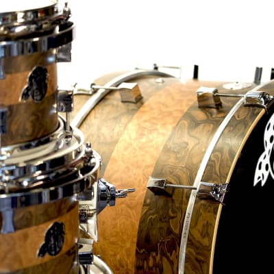 Pork Pie Percussion 4-Piece Custom 8-Ply Maple Drum Set (10/12/16/22") with Walnut/Sapele Satin Veneer image 4