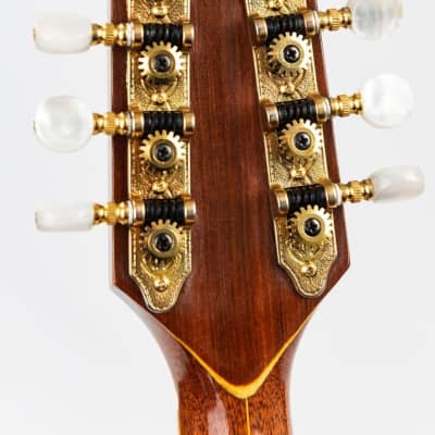 David Oddy A Style Mandolin, Electro - natural image 8