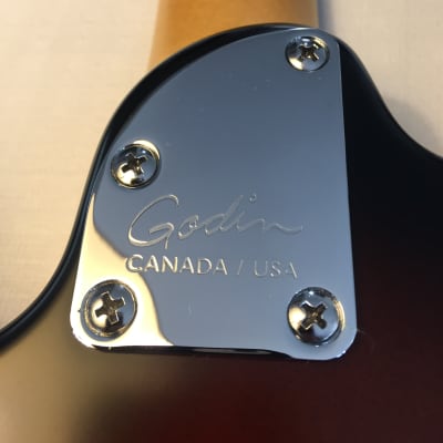 Godin Session (made in USA/Canada)  includes matching soft case image 11
