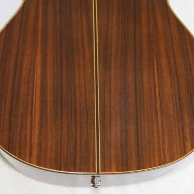 Bartolex SLC10CEL Classical 10-String Harp Guitar, w/Pickup, Cutaway, Sound Port, w/Softshell Case image 14