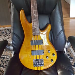 Ibanez SRT 800 DX Reverb