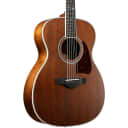 Ibanez AVC10MHOPN Ibanez Artwood Thermo Aged Solid Top Grand Concert Acoustic Guitar Regular Natural