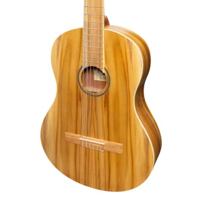 Martinez Full Size Student Classical Guitar Pack with Built In Tuner (Jati-Teakwood) image 5
