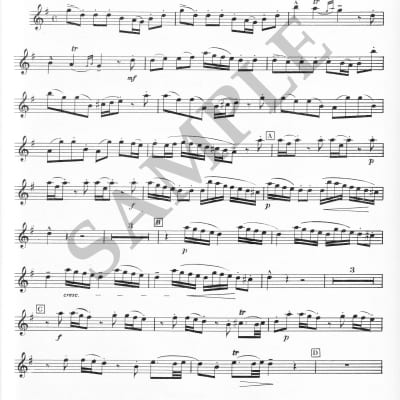 Scarlatti - Concertino in G for oboe and piano + humor drawing print image 2