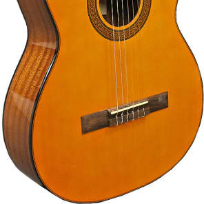 Takamine g series eg124c sale