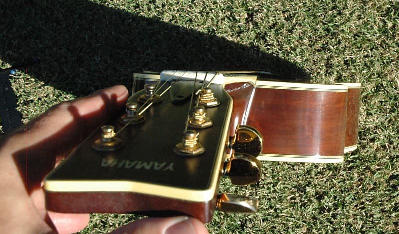 circa 1977 Yamaha L5 Guitar | Reverb