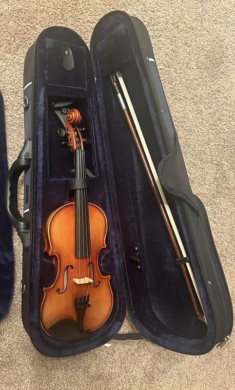 D Z Strad Violin Model 100 with Solid Wood Size 1/4 with
