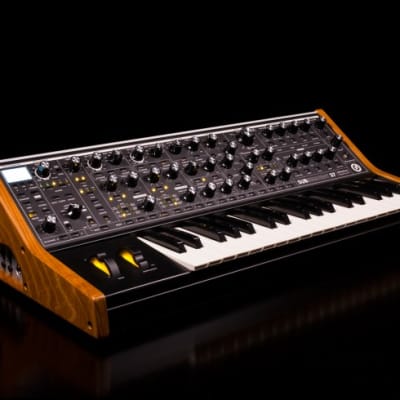 Moog Subsequent 37 Analog Synth | Reverb