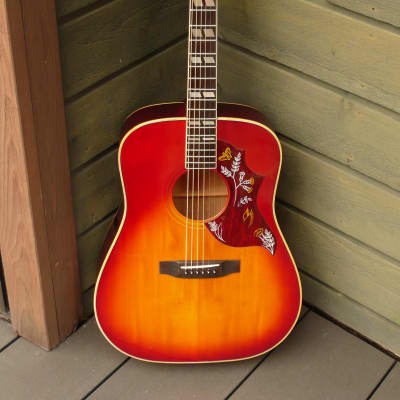 MOUNTAIN W-250H アコースティックギター　ハミングバード MOUNTAIN(マウンテン)W250H | B級ギター好きのよもやま話