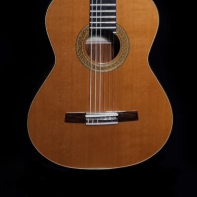 Luthier Built Concert Classical Guitar - Cedar & Bolivian Rosewood image 2
