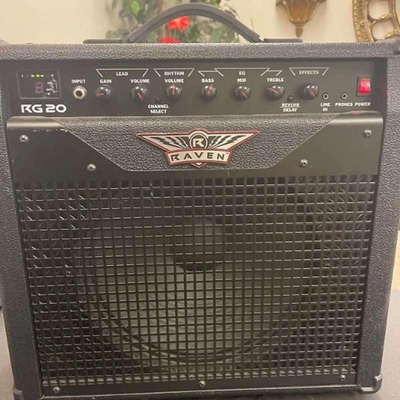Raven RG20 Sound System used for a speaker & guitar Reverb