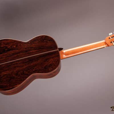 1995 Paris Banchetti Concert Classical, Brazilian Rosewood/Cedar image 8