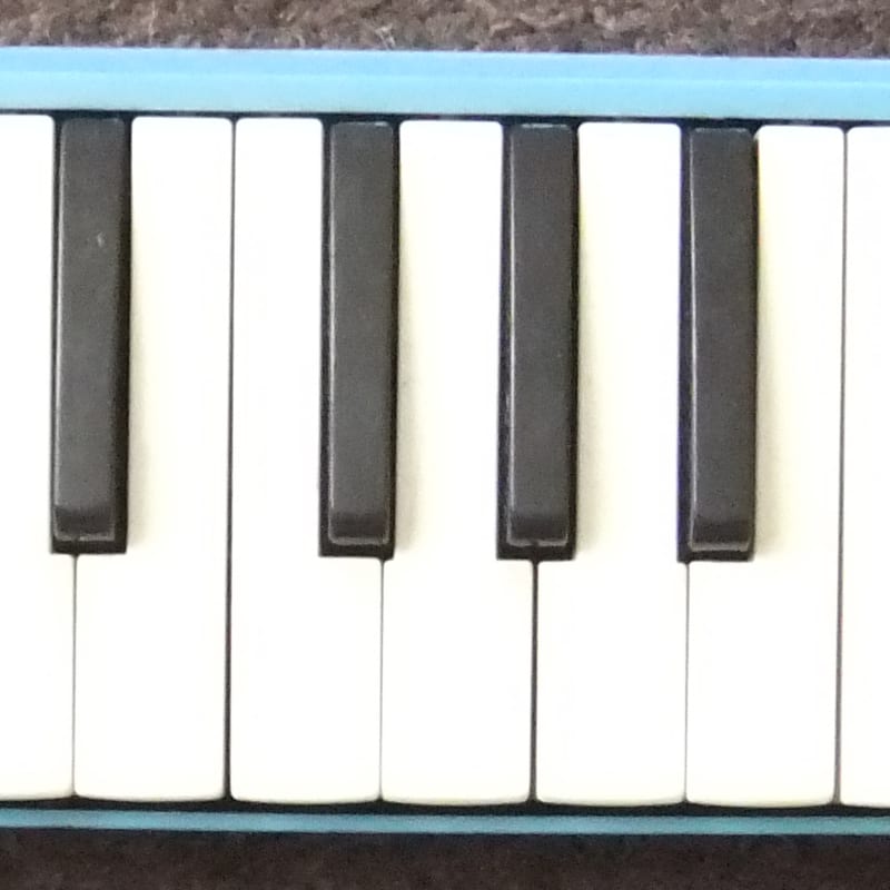 Accordions New & Used Accordions For Sale Reverb