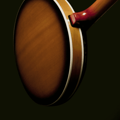Washburn Americana 5-String Resonator Banjo - Sunburst - B9 image 4
