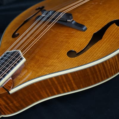 Brand New Bourgeois A Style Mandolin Model M5A Adi Top / Flamed Bosnian Maple ALL TORRIFIED image 8