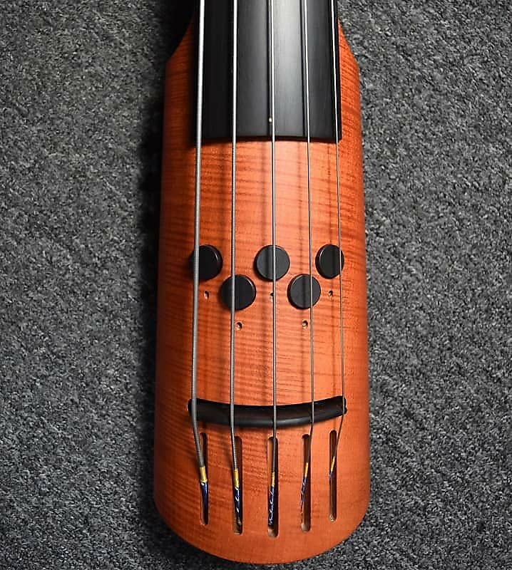 NS Design EU5, 5String EUB Electric Upright Bass with 18 Reverb