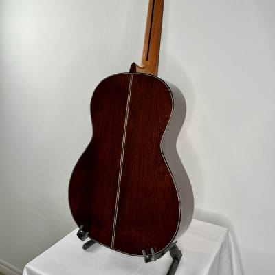 Antonio Picado Model 62 Classical Guitar Spruce & Madagascar w/case *made in Spain image 4