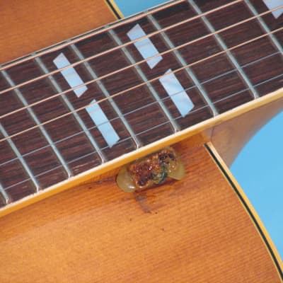 Gibson L7N 1950 Natural image 14