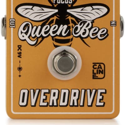 Caline CP503 Queen Bee Overdrive Guitar & Bass Effects Pedal (CP-503) for sale