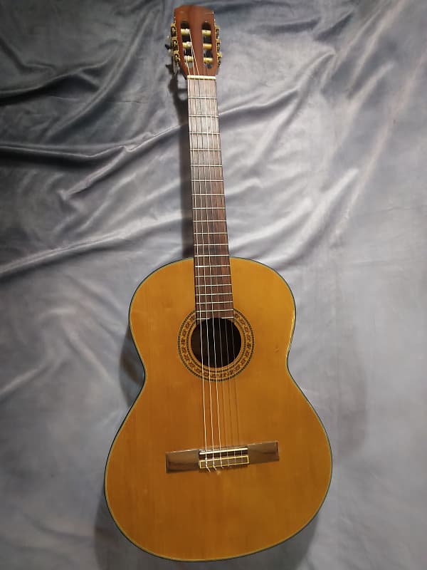 Epiphone Classical Acoustic Guitar Model C40 Nylon Strings Reverb 