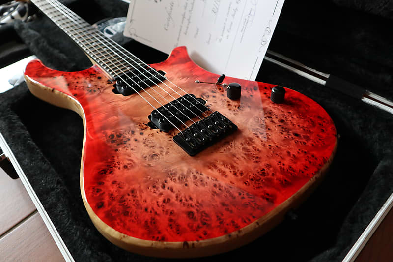 Overload Custom Guitars Rea 6 | Reverb