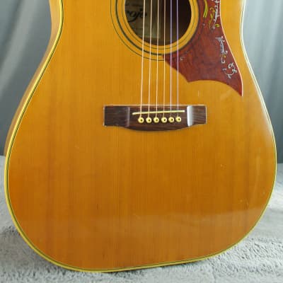 ZEN-ON ukuleles, acoustic guitars, bass guitars, classical