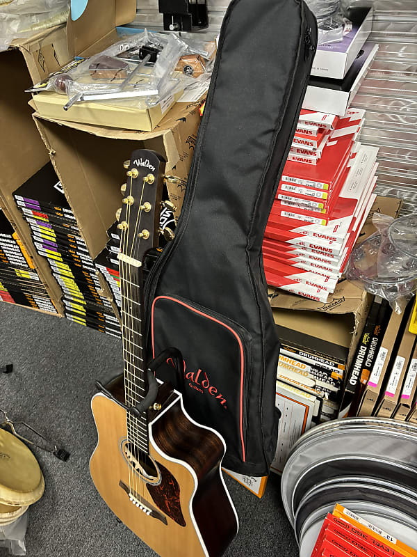 Walden D600CE dreadnaught guitar Acoustic/electric | Reverb Australia
