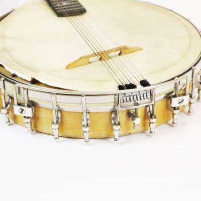 1920s Orpheum No. 1 MandoBanjo Banjolin Vintage Mandolin | Reverb