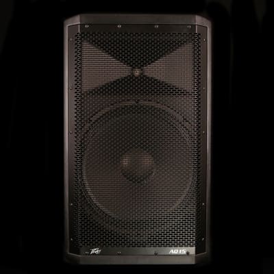 Peavey Aquarius AQ15 Powered Speaker, 15" image 1