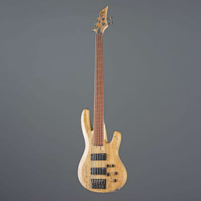 ESP LTD B-205SM-FL 5-String Bass G uitar   - 5-String Electric Bass image 10