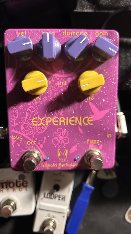 Tsakalis Audioworks Experience Fuzz/Octave | Reverb