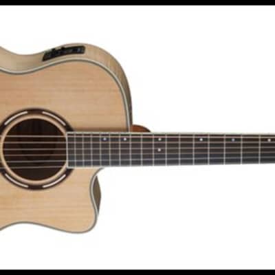 Washburn AG40CE Apprentice Series Grand Auditorium Acoustic-Electric  w/ Case, Spruce Top, Maple B&S image 2