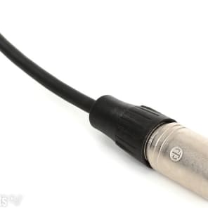 RapcoHorizon N1M1-20 Microphone Cable - 20 foot image 3