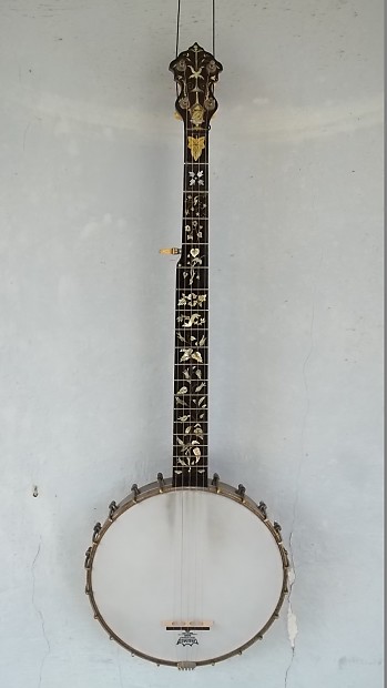 Professional sales banjo price