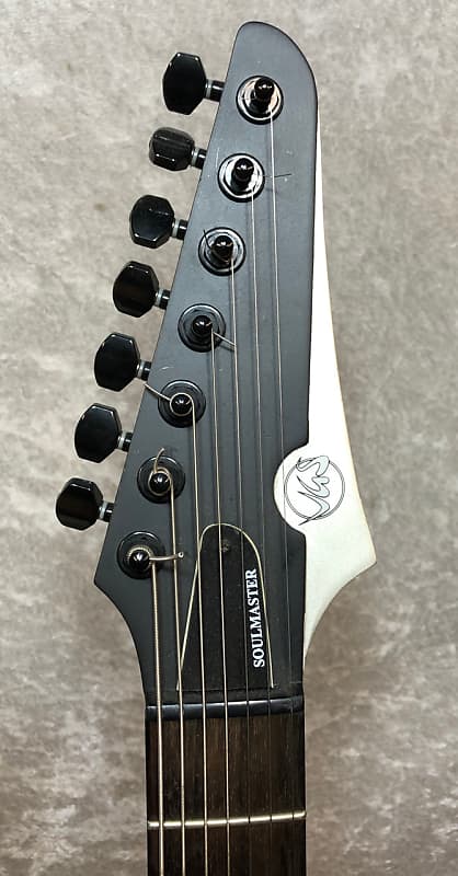VGS VSM-120-7 Soulmaster Select 7 string guitar with