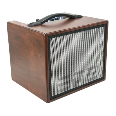 Elite Acoustics EAE A1-8 Acoustic Guitar/3 Chan Amplifier with LFP Battery WOOD image 6