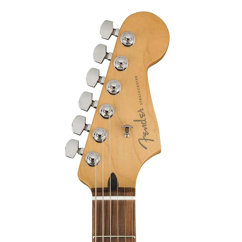 Fender Player Plus Stratocaster image 10