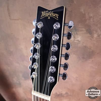 1995 Washburn EA-20 MB12 | Reverb