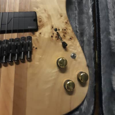 Vigilant Custom 8-string Multiscale Guitar, Fishman Abasi, Kill Switch, Ghost Piezo, Stereo Out 2021 image 3
