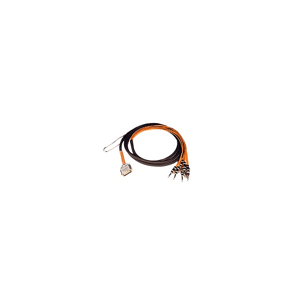Avid 99402965000 Db25-Trs Digi snake 12' : Amazon.ca