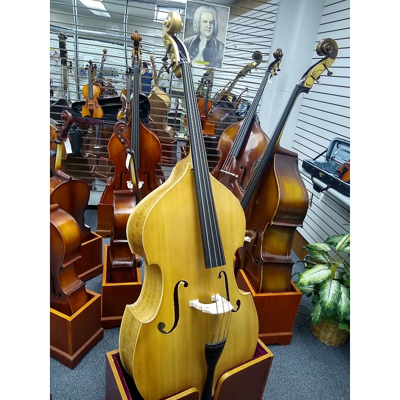 Vienna Strings Hamburg Gamba Ltd Edition 3/4 Bass image 1