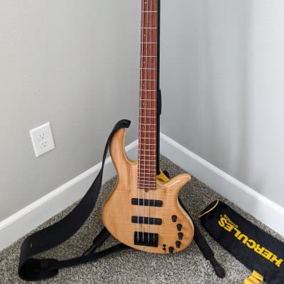 2021 Elrick Gold Series e-volution 32" Medium Scale 4-String Bass. Super Mint! Amazing Bass & Price! image 4