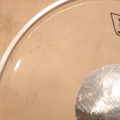 Ludwig 12" Rockers Clear Silver Dot Tom Drum Head Vintage image 4