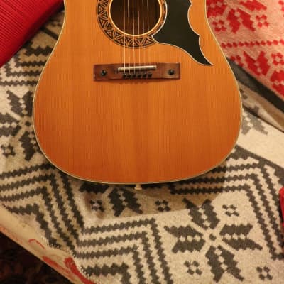 Eros dakota 606 acoustic guitar cheap