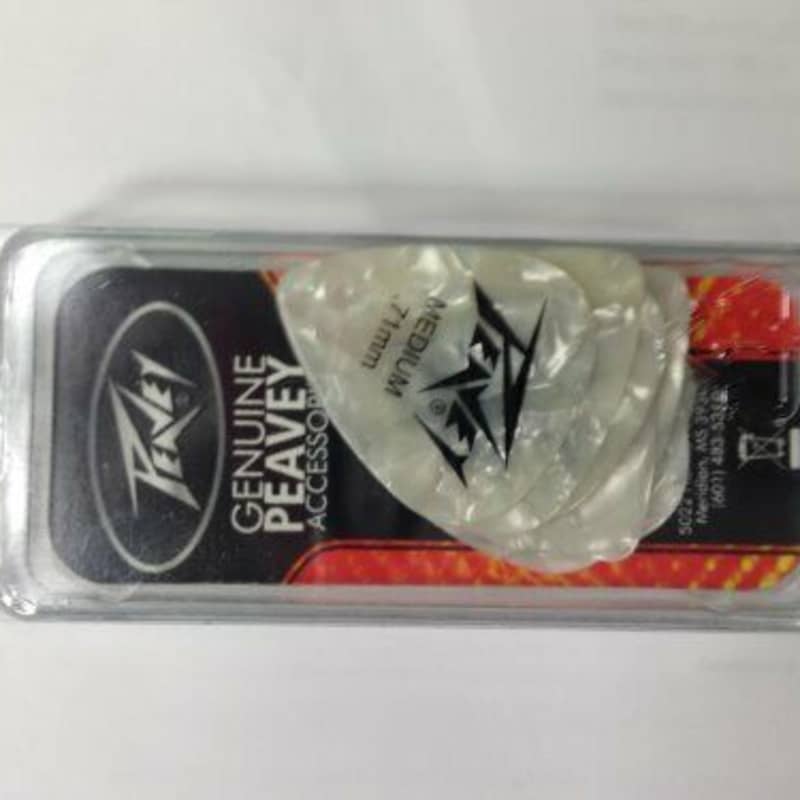 Lizard Spit Fret Polish System - 850018184144