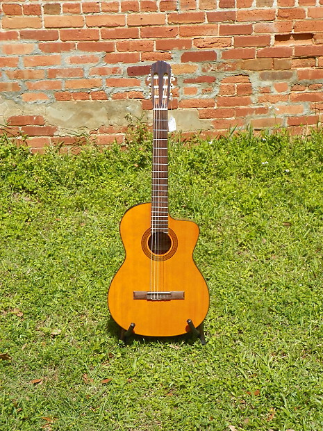 Takamine g series eg124c cheap
